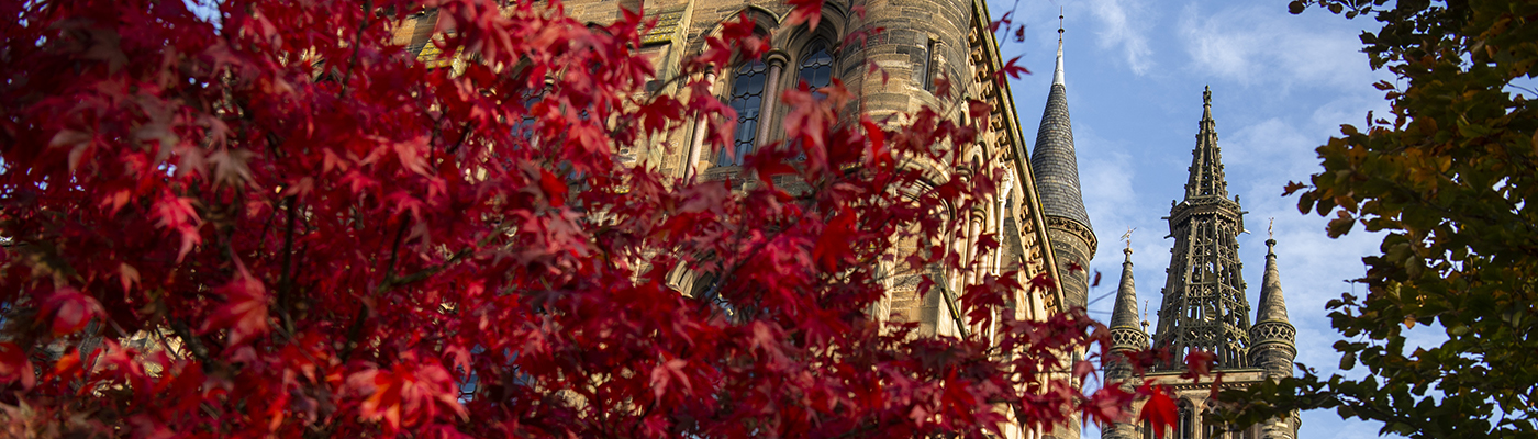 The tower of the Gilbert Scott Building with red leaves from a tree in front
