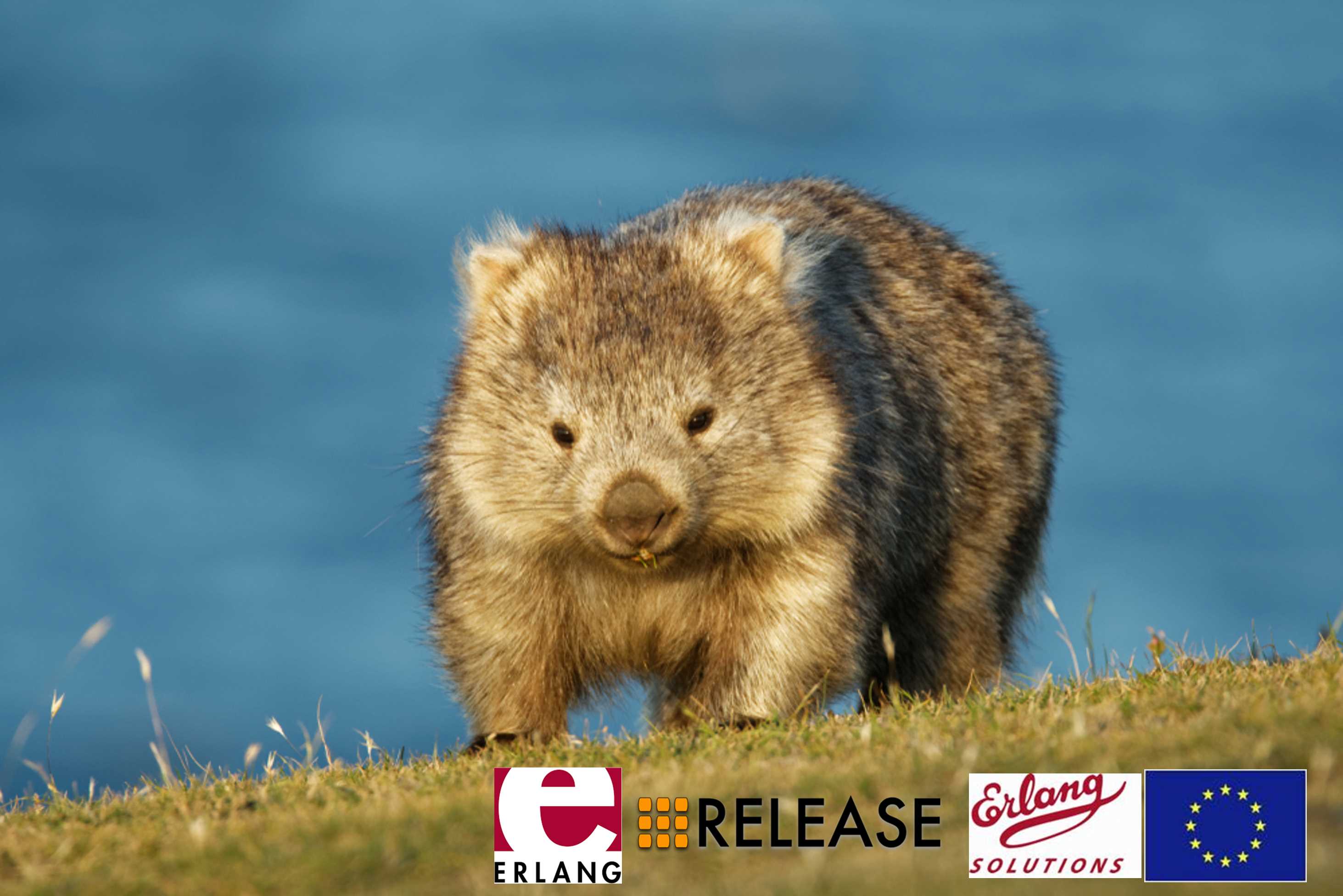 A wombat with company, project, and EU Logos