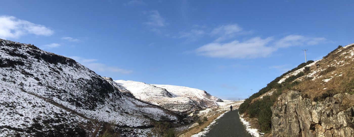 clear sky over snowy path