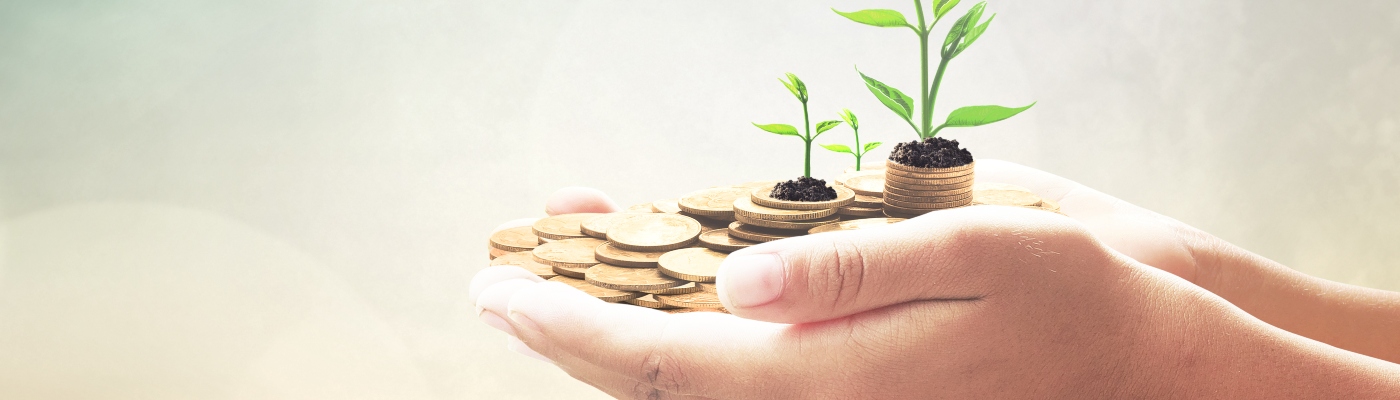 Hands holding coins and plants