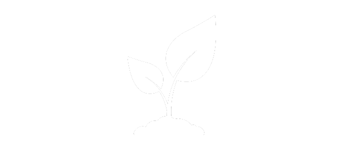 Budding plant icon