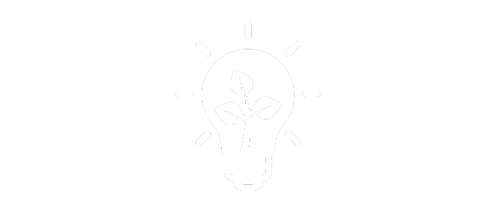 Sustainable ideas icon