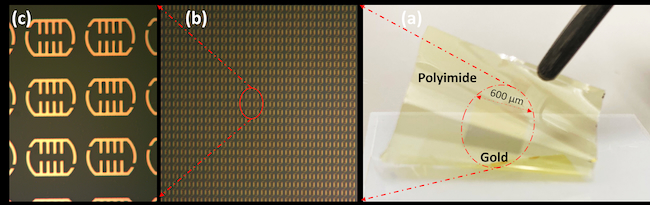 (a) Demonstration of the flexible Terahertz metasurface biosensor. (b-c) fabricated metasurface biosensor under an optical microscope