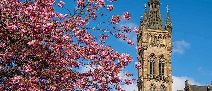 Gilbert Scott Building in Spring