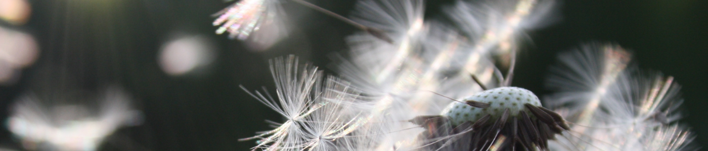 1400x300