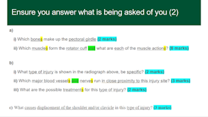 Slide on breaking down essay questions
