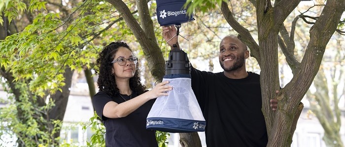 Man and Woman hang mosquito net on a tree