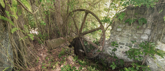 wheel