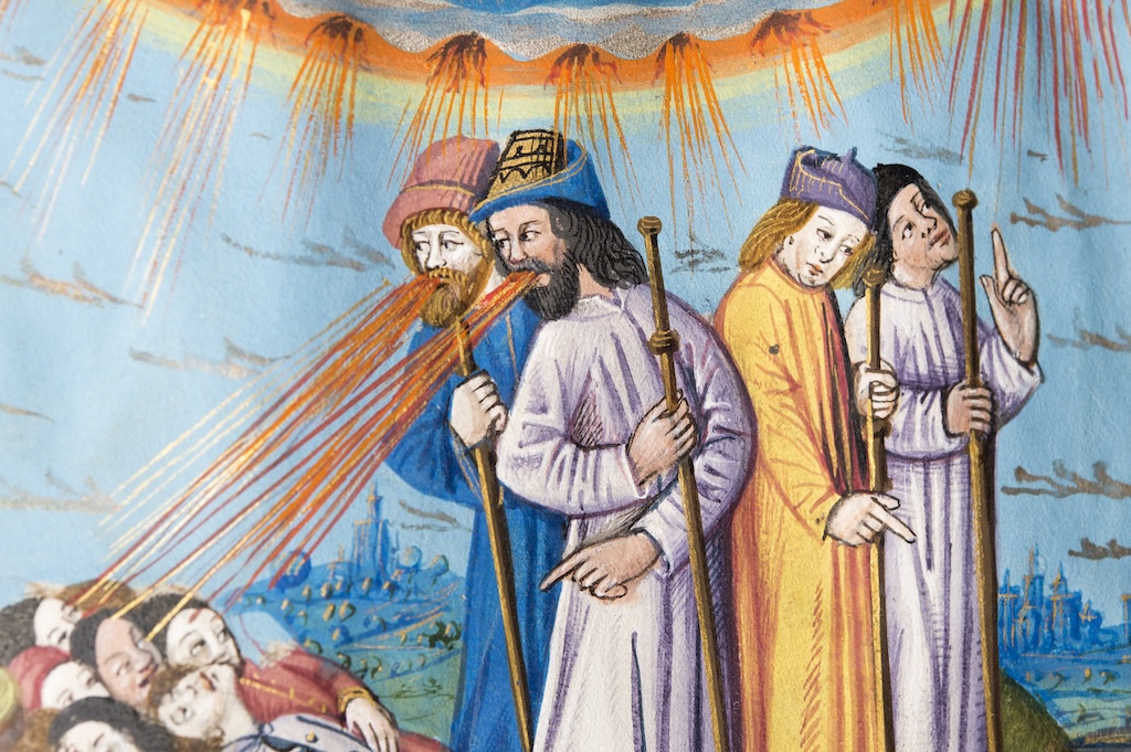 An image from MS Hunter 398