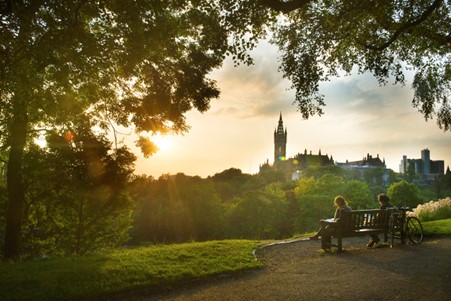 couple on bench sitting under tree