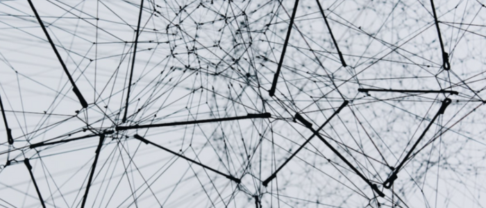 black and white mesh/nodes/webbing