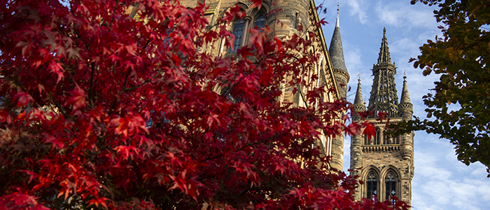 The Tower at the South front with red tree branches in front