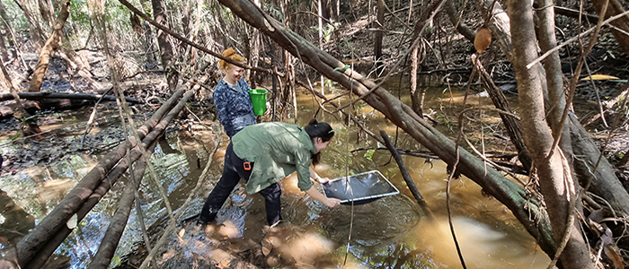Two female researchers collecting samples from a stream