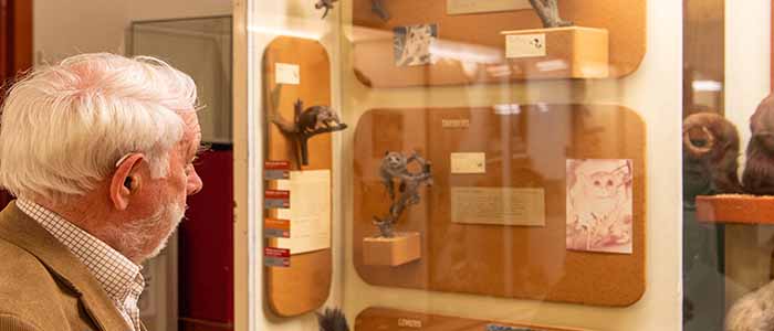 Image of a man looking at exhibits in a glass case on the wall of the museum