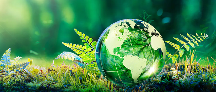 Moss and plants with a globe sitting on it