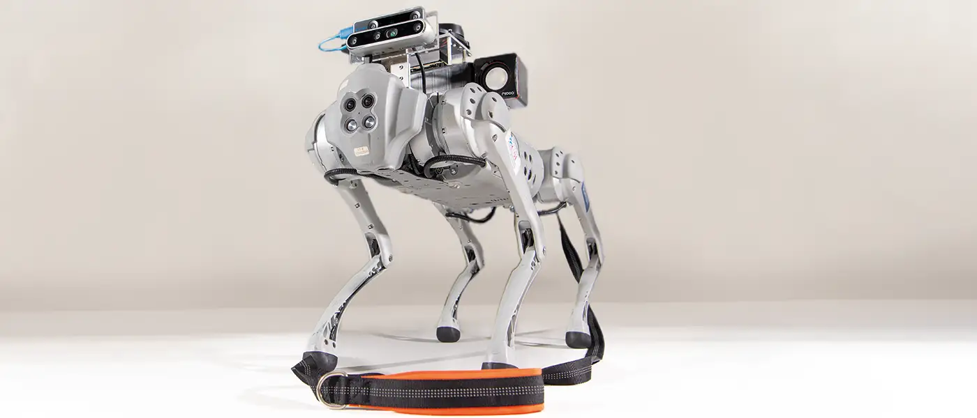 Robotic dog