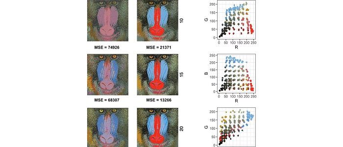 Datasets alongside images on mandrell baboons