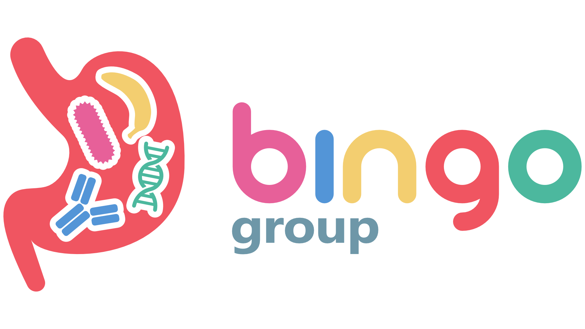 BINGO group Logo