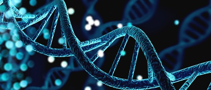 An illustration of human genes