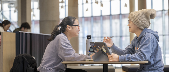 Two students studying together in University