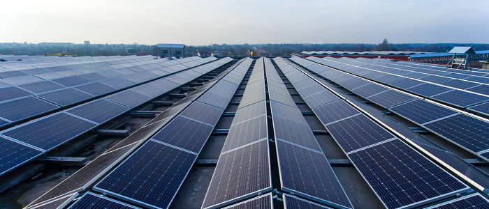 Solar panels in evening light