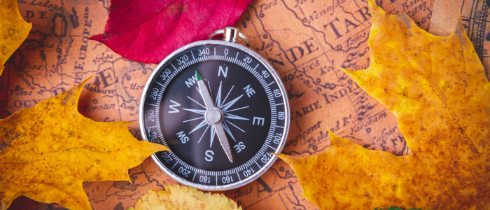 compass with autumnal leaves on a map
