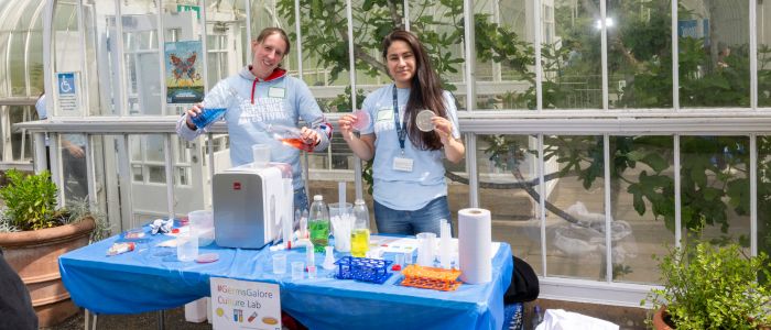 Germs Galore stall at the Glasgow Science Festival