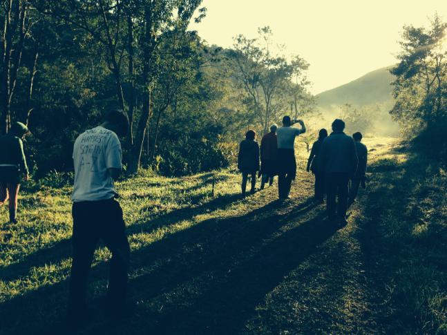 Group of people with their backs turned walking through forest path
