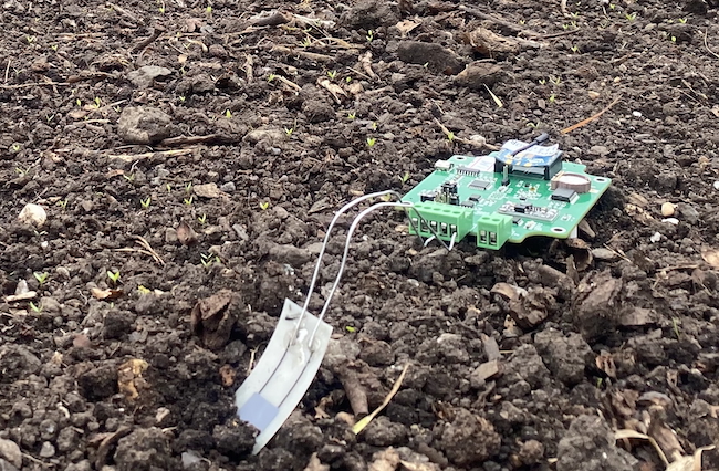 The prototype biodegradable sensor the team have developed is on the left of the image, partially submerged in the soil. The reusable electronics which will help enable digital agriculture readings are connected by wires.