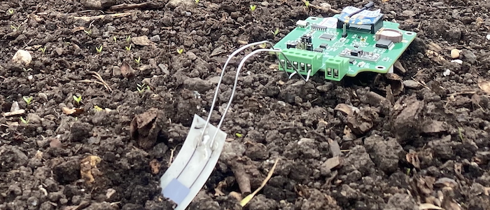 The prototype biodegradable sensor the team have developed is on the left of the image, partially submerged in the soil. The reusable electronics which will help enable digital agriculture readings are connected by wires