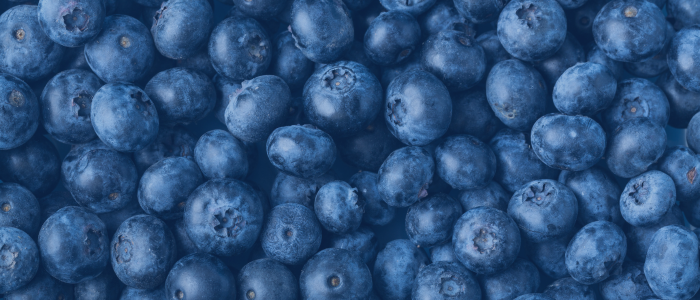 Close-up of blueberries