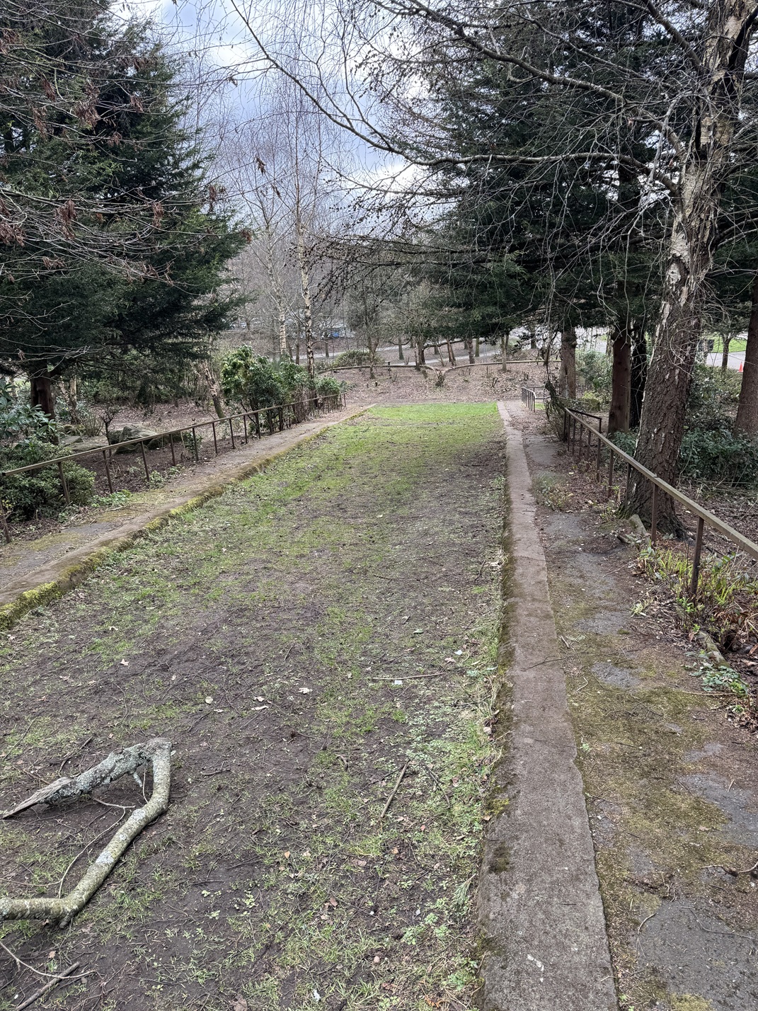 One of the most prominent surviving features of the skatepark, the slalom run that leads down to the Torpedo and Bazooka bowls (photo: K Brophy)