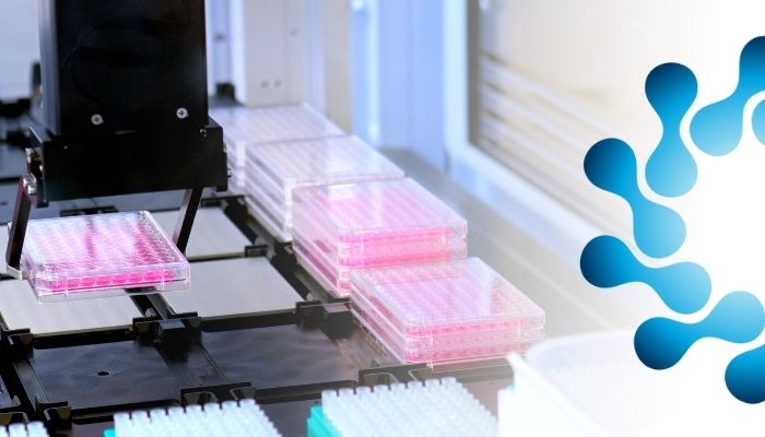 Automated robotic platform handling pink-coloured 96-well plates in a laboratory setting for high-throughput drug screening processes.