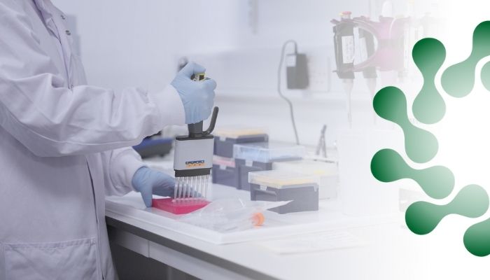 Scientist uses a multichannel pipette in a laboratory to conduct serology testing, surrounded by boxes, tubes, and lab tools.