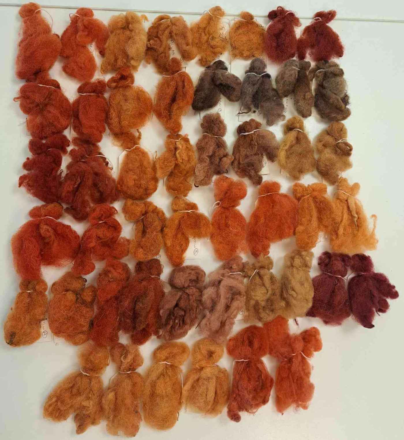 Isobel Harvey. Colours generated by different dye recipes