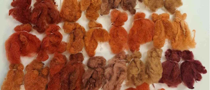 Isobel Harvey. Colours generated by different dye recipes