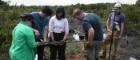 The team taking a sediment core from Hatfield Moors NNR. Left to right: Nicki Whitehouse, Wenguang Tang, Rachel McDonald, Stuart Munro, Luca McCall. Photo credit: Alex Skarlatos-Currie.