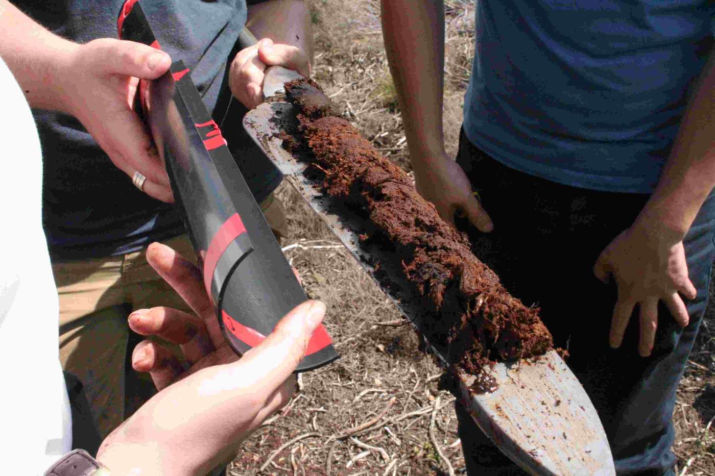 Peat sediment captured by the corer ready to be packaged and returned to the lab for analysis. Photo credit: Alex Skarlatos-Currie