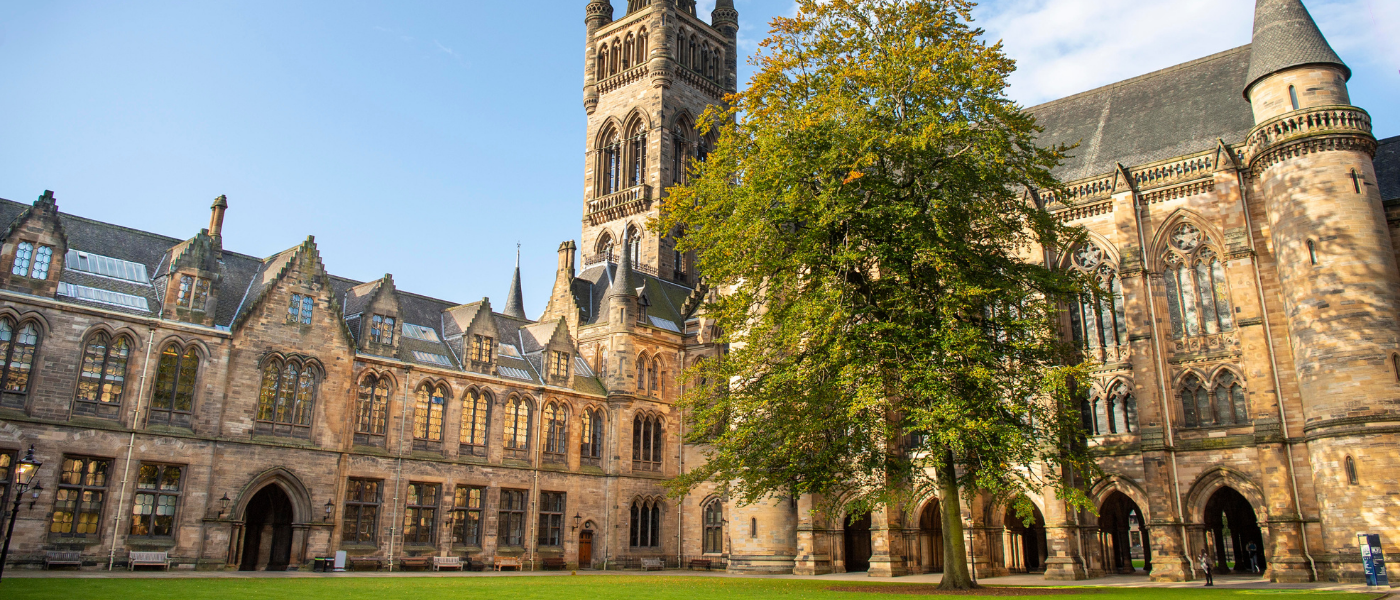 University quads with beech tree