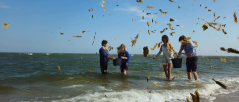 People collect seaweed during a workshop on the Island of Mull