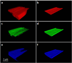 Accompanying figure for Andrew Elliot's talk: AI Segmentation of SiC MOSFET FIB Tomography Dataset
