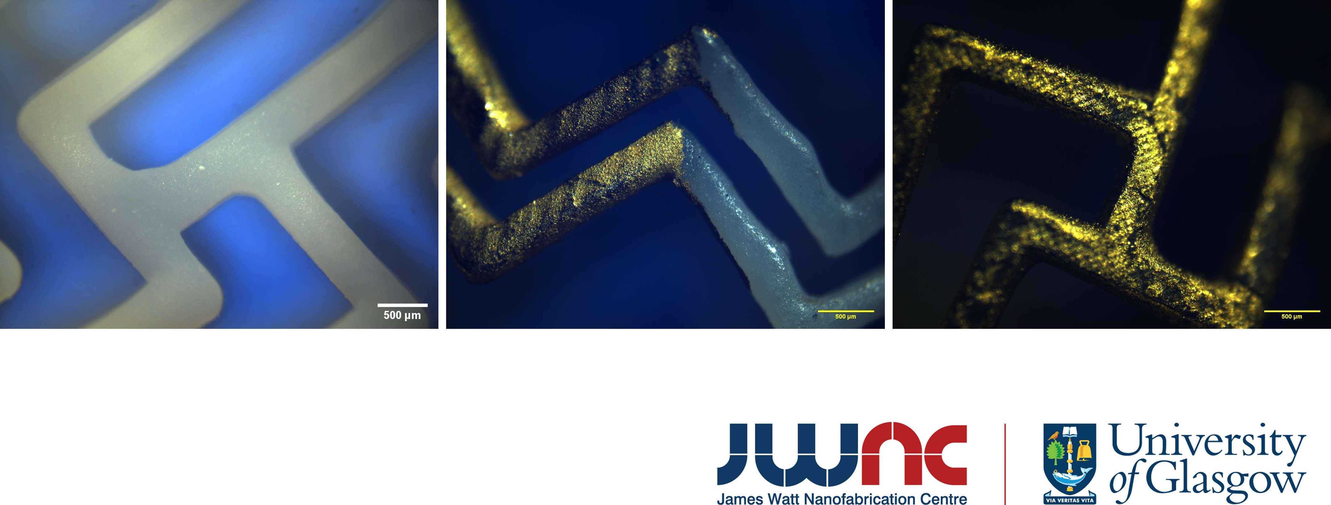 Various zoomed in images