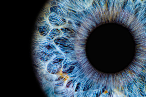 A close-up of a human eye