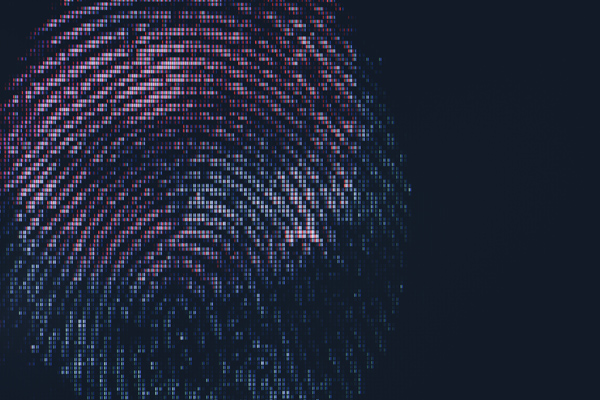 A fingerprint