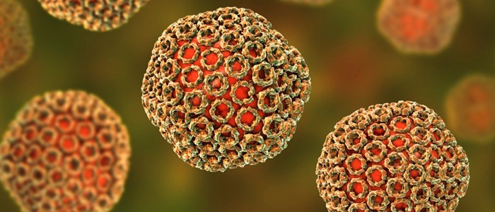 A rendered image of Rift Valley fever virus