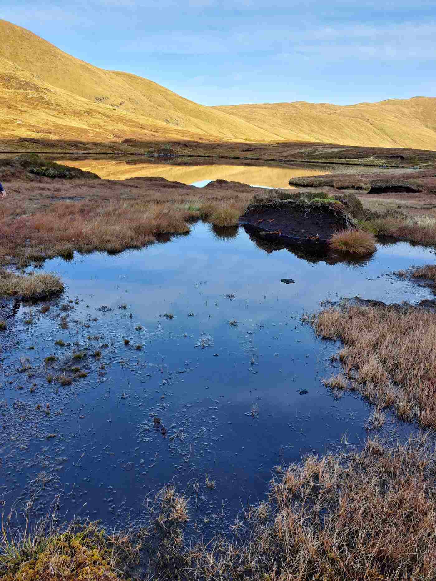 Peat cafe 2025-26 - Ben Lawers