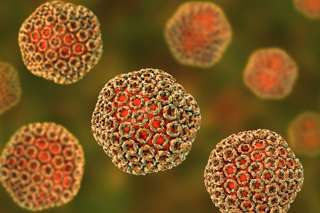 A rendered image of Rift Valley Fever virus