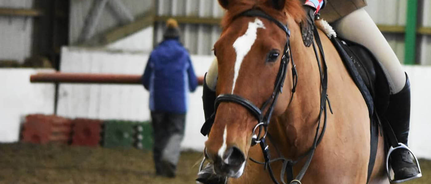 Student sitting on top of a horse
