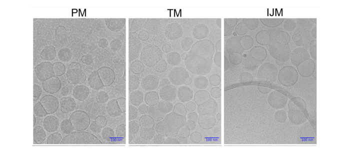 3 figure panel of lipid nanoparticles manufactured under different conditions