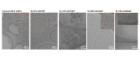 5 panel figure showing different lipid nanoparticle formulations with differing amounts of membrane blebbing